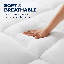 2" Down Alternative Mattress Topper - Sleep by Wayfair™-230874512-230874527