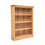 Mickel 120cm H Standard Bookcase-260733857-260733856