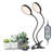 Zhu 5 Watt Grow Light Flowers