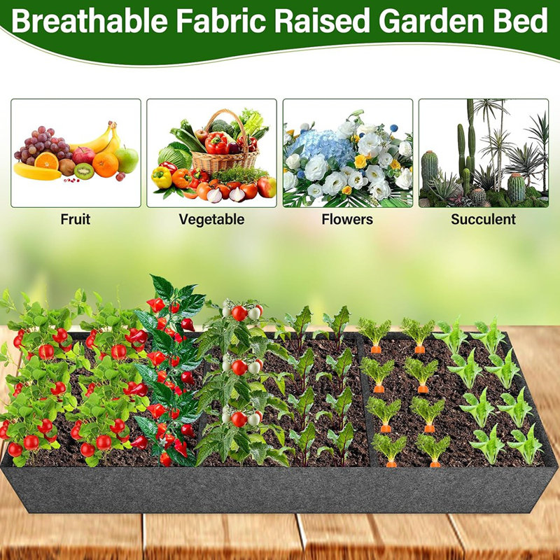 Treillis de concombre de jardin pour plantes grimpantes à l'extérieur