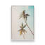 Impression sur toile tendue Sunlit Palm Sky-253560060-253560063