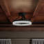 Ventilateur de plafond en cage à 3 pales de 14 po avec télécommande et ensemble d'éclairage inclus Halmstad