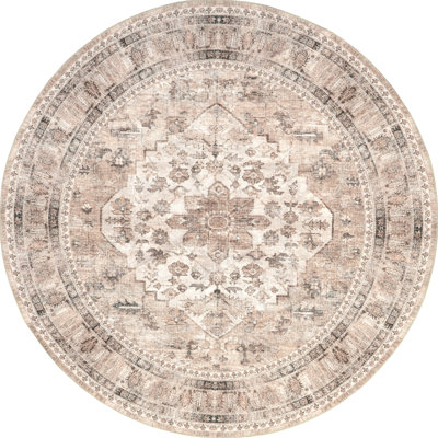 Davi Faded Stain-Resistant Machine Washable Area Rug
