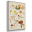 Champignon X-91887171-91887168
