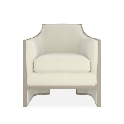Coussin en duvet de velours de 30 po de largeur conforme à la norme CAL117 de The Cat's Meow