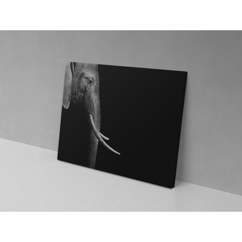 Canvas Collection Elephant - Wrapped Canvas Print, 52cm H x 82cm W x 4cm D