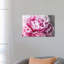 " Peony Blush " by 5by5collective-2676289-2676317-2676315