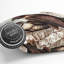Brown Hawks Square Throw Cushion-56279929