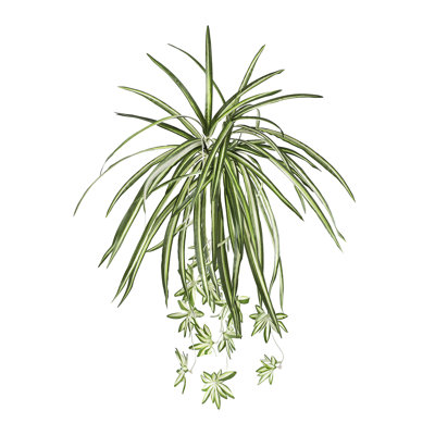 25 po plante araignée suspendue artificielle