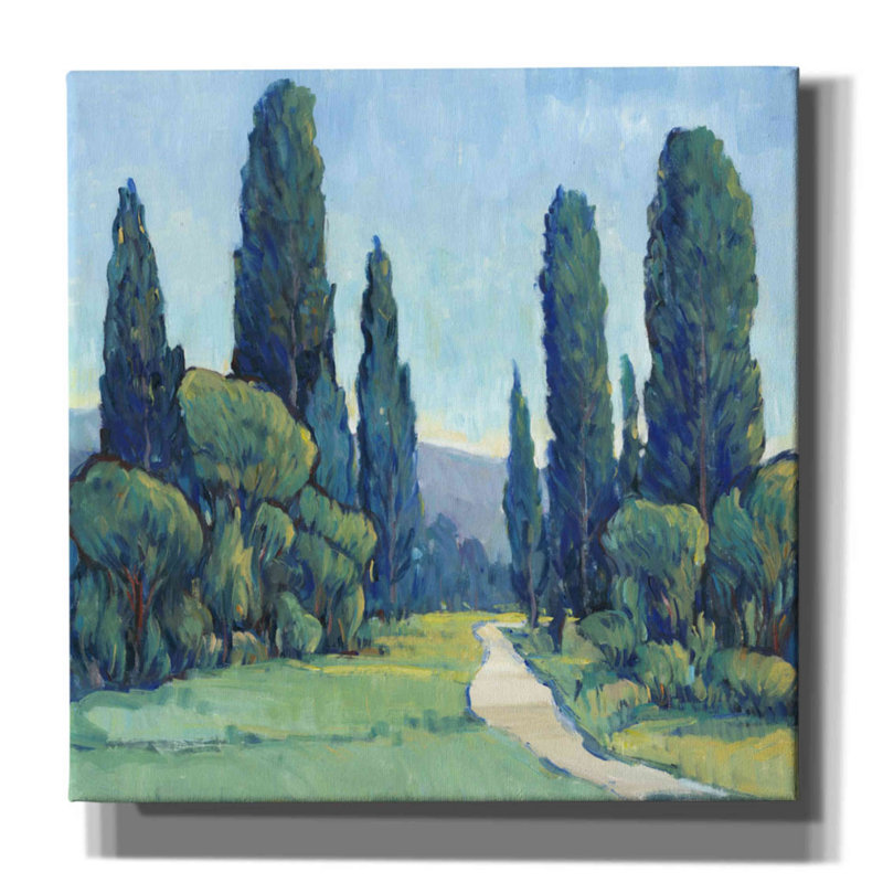 «Cypress Path II» par Tim O'toole, art mural sur toile, H 37 po x l 37 po x P 1,5 po