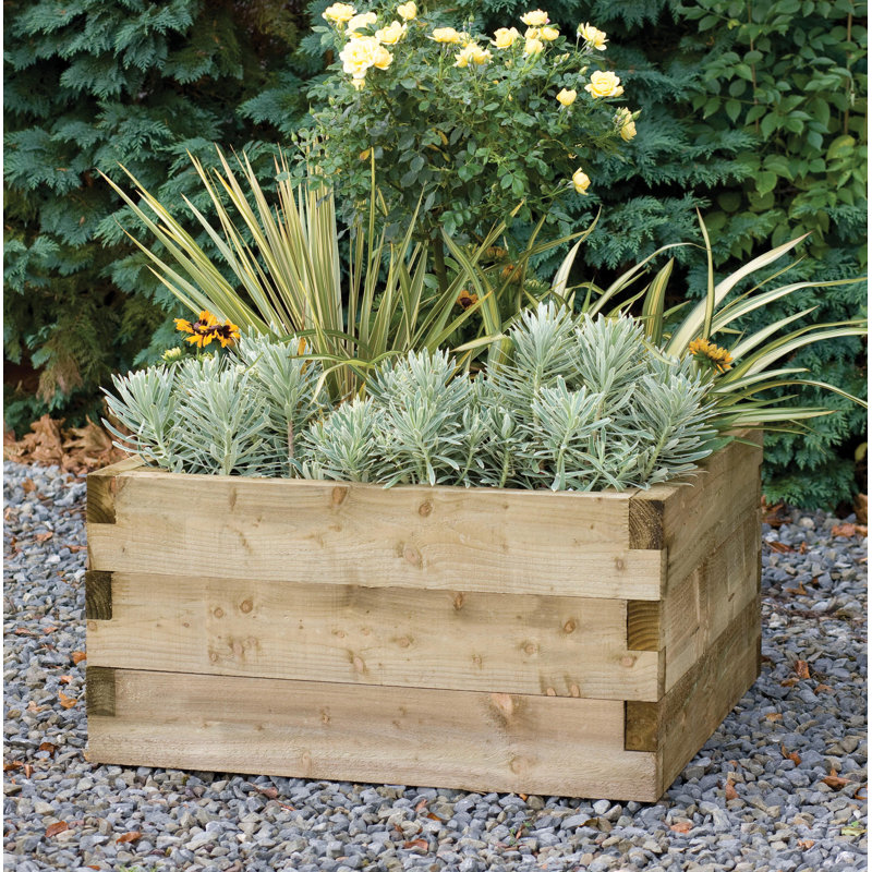 Caledonian Wood Raised Garden Bed
