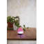 Tamil Wood Desk Lamp