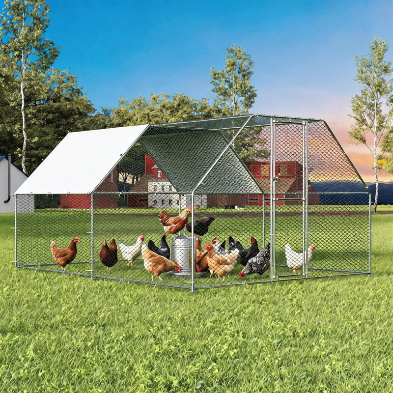 Grand poulailler en métal, housse anti-UV et imperméable, 157.44" D x 78.72" H x 118.08" W