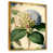 Gold Floater Framed Canvas