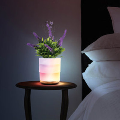 Aromatherapy Plug In