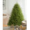 Fir Christmas Tree