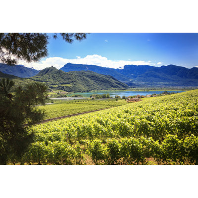 Lake Caldaro / Kalterer See by Aprott - No Frame Print on Canvas