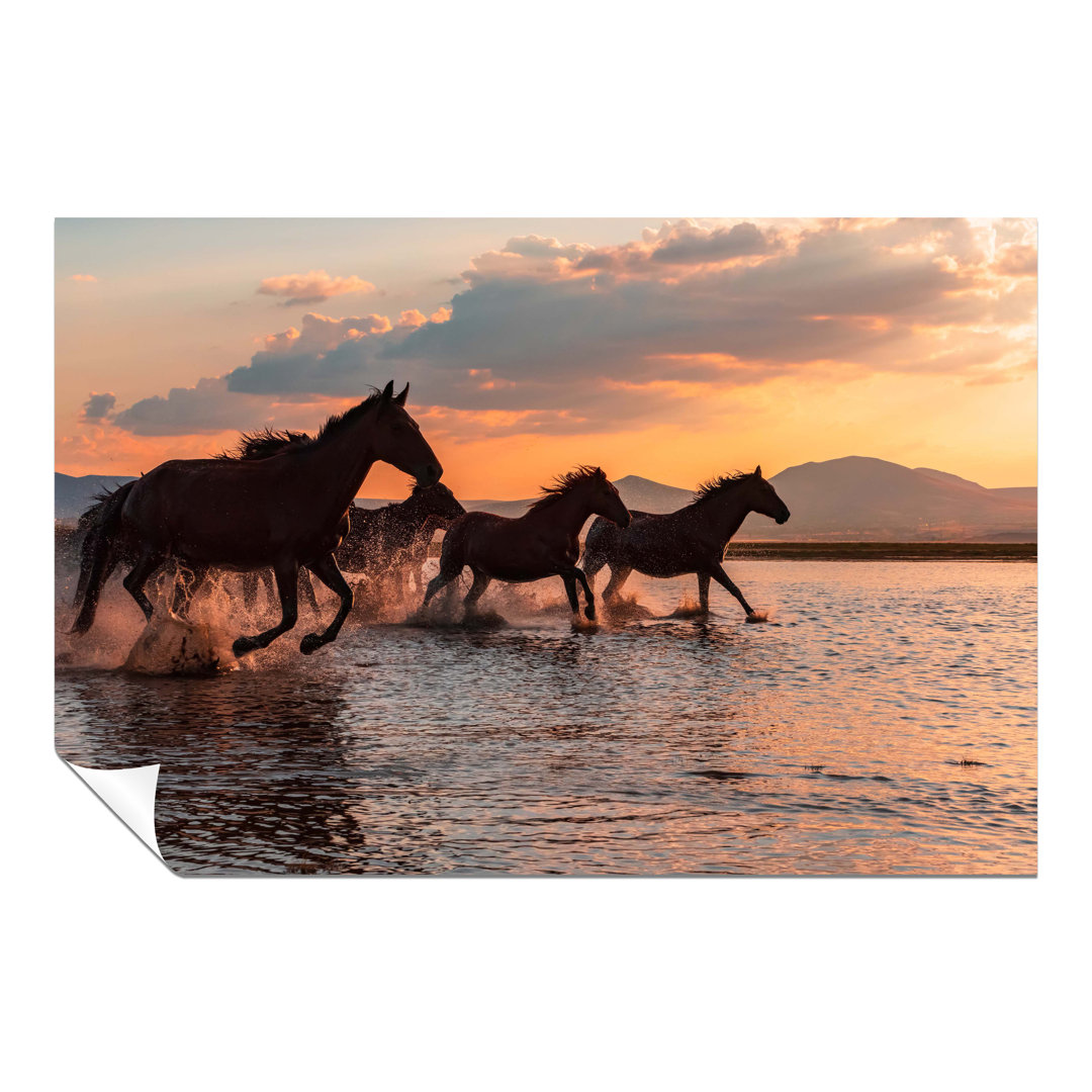 Gracie Oaks Fine Art Prints Wild Brown Horses Running In Water During Sunset Artistic Unframed Poster, Pictures For Home Walls, Bedroom, Living Room &