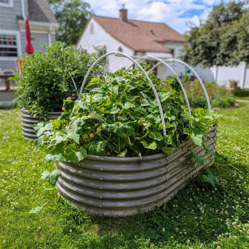 Lits de jardin surélevés ovales en métal 8 x 4 x 2 pi Raymont (gris)