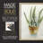 Succulent IV Framed Print - Solid Wood-373579473-373579472