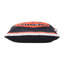 Coussin 20 x 20 po Halloween