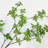 Nut-brown + White Rectangle Sandstone Wall art-1882928774-1882928793