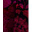 Overyed One-of-a-Kind Runner 3' X 8'6" Hand Knotted Area Rug