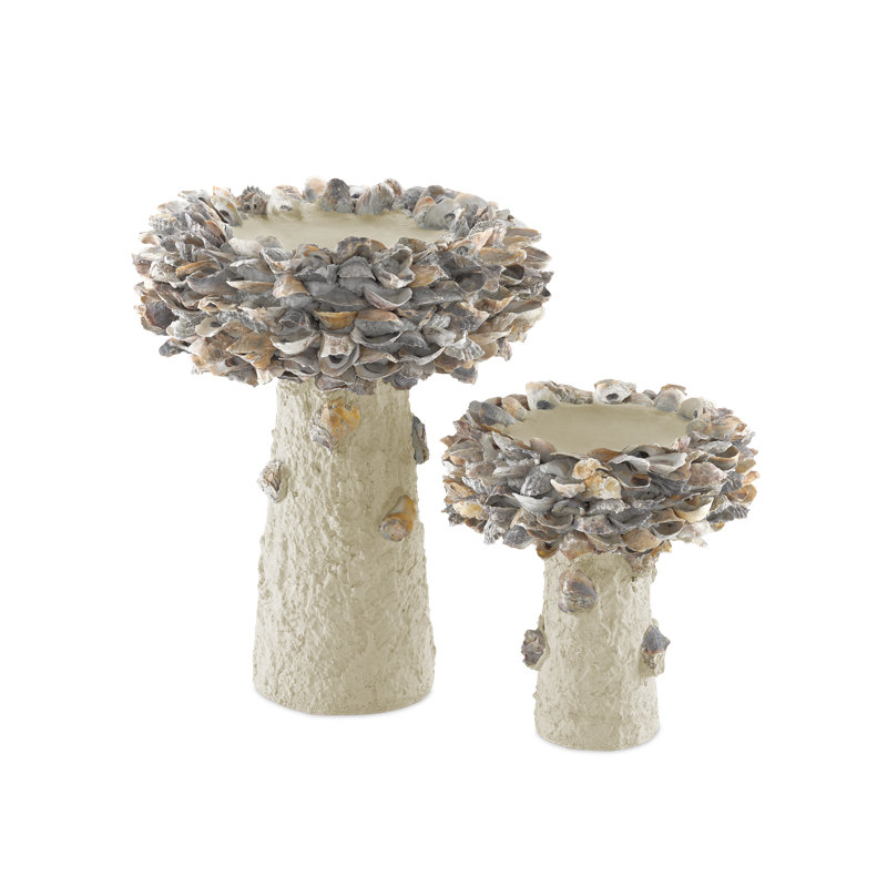 Oyster Shell Concrete / Cement Pedestal Birdbath, 14" H x 13.5" W x 13.5" D