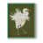 Cadre simple vert n'est pas disponible