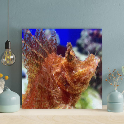 " Selective Focus Of Brown Sea Creature " Painting Print