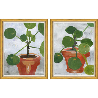 Money Plant I & II