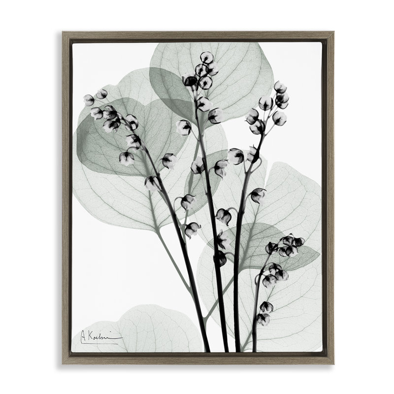 Cadre flottant Fresh Minimalist Herbs, design par Albert Koetsier, H 21 po x l 17 po, Cadre flottant orme Montalcino