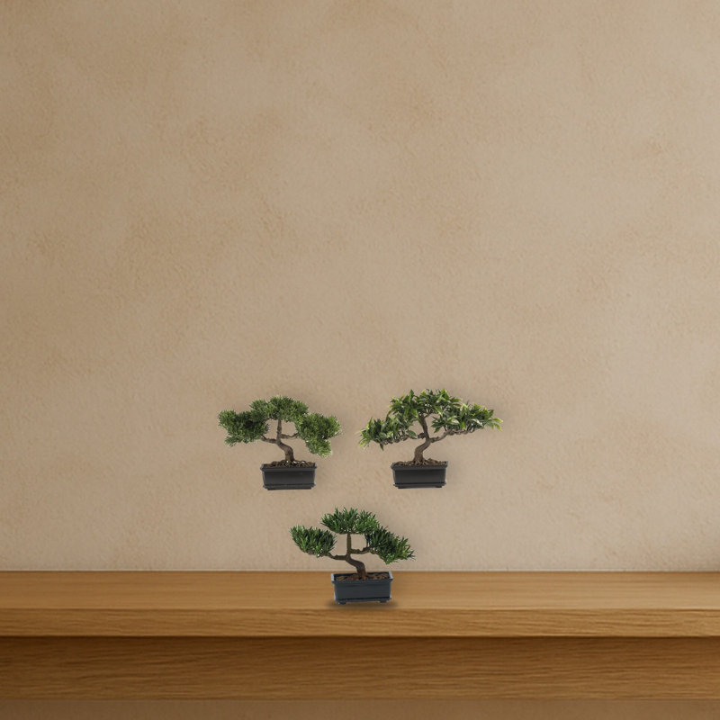 Bonsai Silk Plant Collection