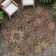 Machine Washable Indoor/Outdoor Jacinto ACN2151 Medallions Rug