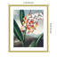 Temple of Flora VII par Dr. robert j. Impression murale Thornton-109724797