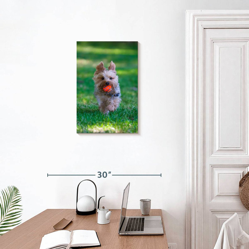 Yorkie ludique, 24" H x 16" W