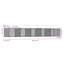 Cage pour chien durable en acier galvanisé gris 32,8 x 6,6 x 6,6 pi Vidaxl-132937225-132937227
