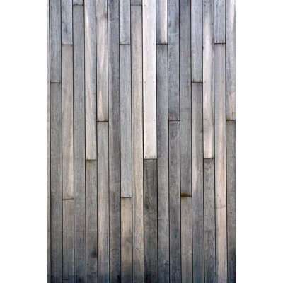 Grey Plank Wall by Calypte - Wrapped Canvas Print