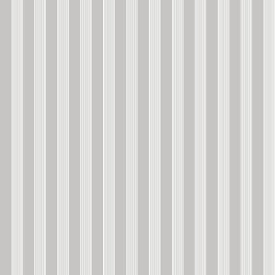 Nerijus Little Explorers 2 Vertical Ribbon Wallpaper Roll