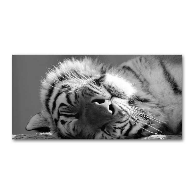 Sleepy Tiger - Wrapped Canvas Print
