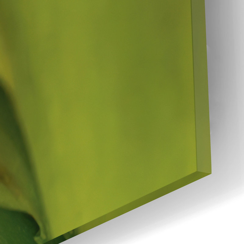 "Amaryllis" par Pamela Plummer, H 16 po x l 12 po x P 0,13 po