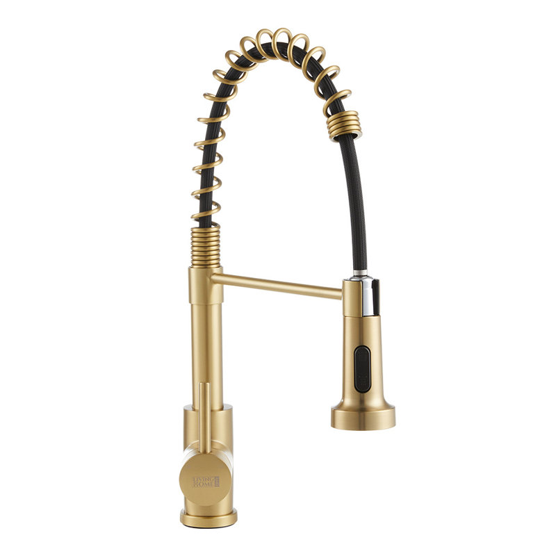 Fairmont Park Aajah Pull Down Kitchen Faucet
