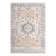 Braaten Oriental Indoor Rug