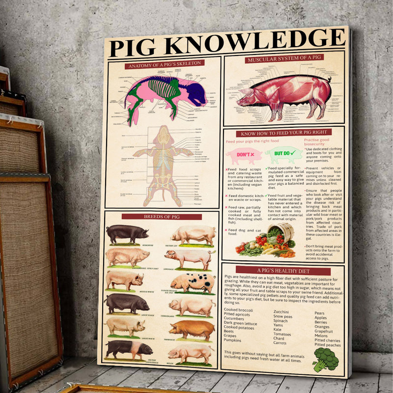 Illustration de cochon sur toile tendue - Illustration animalière, décor de maison rouge et rose, H 36 po x l 24 po x P 2 po