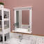 Emmerlyn Flat Mirror with Shelves