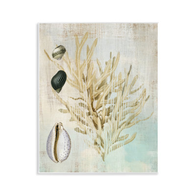 Plaque murale Coral Branch & Cowrie Shells, design par Susan Arnot