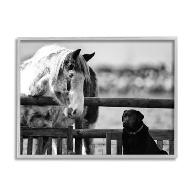 «Dog & Horse Farm Animal Friends» par James Dobson - Photographie à cadre flottant sur bois