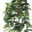 180cm Faux Fig Tree in Pot Liner