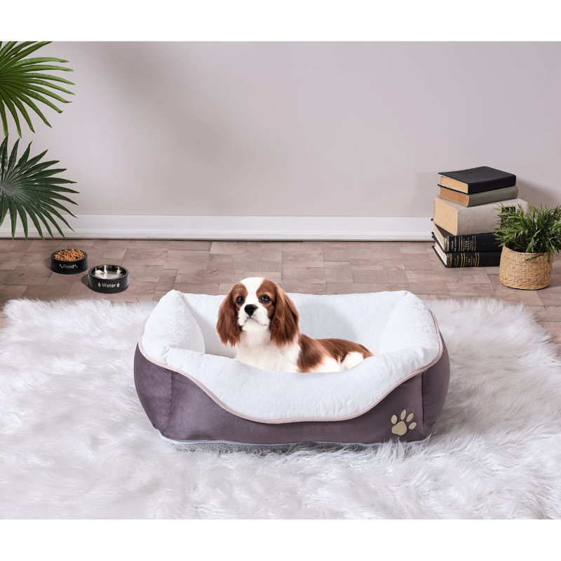 Lit pour animal de compagnie anthracite pour chats, 18,91 po X 12,82 6,9 po, mousse de qualité supérieure et confortable