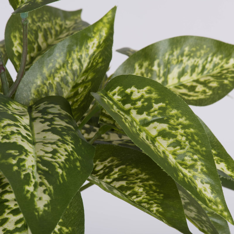 Fabric Dieffenbachia Arrangement